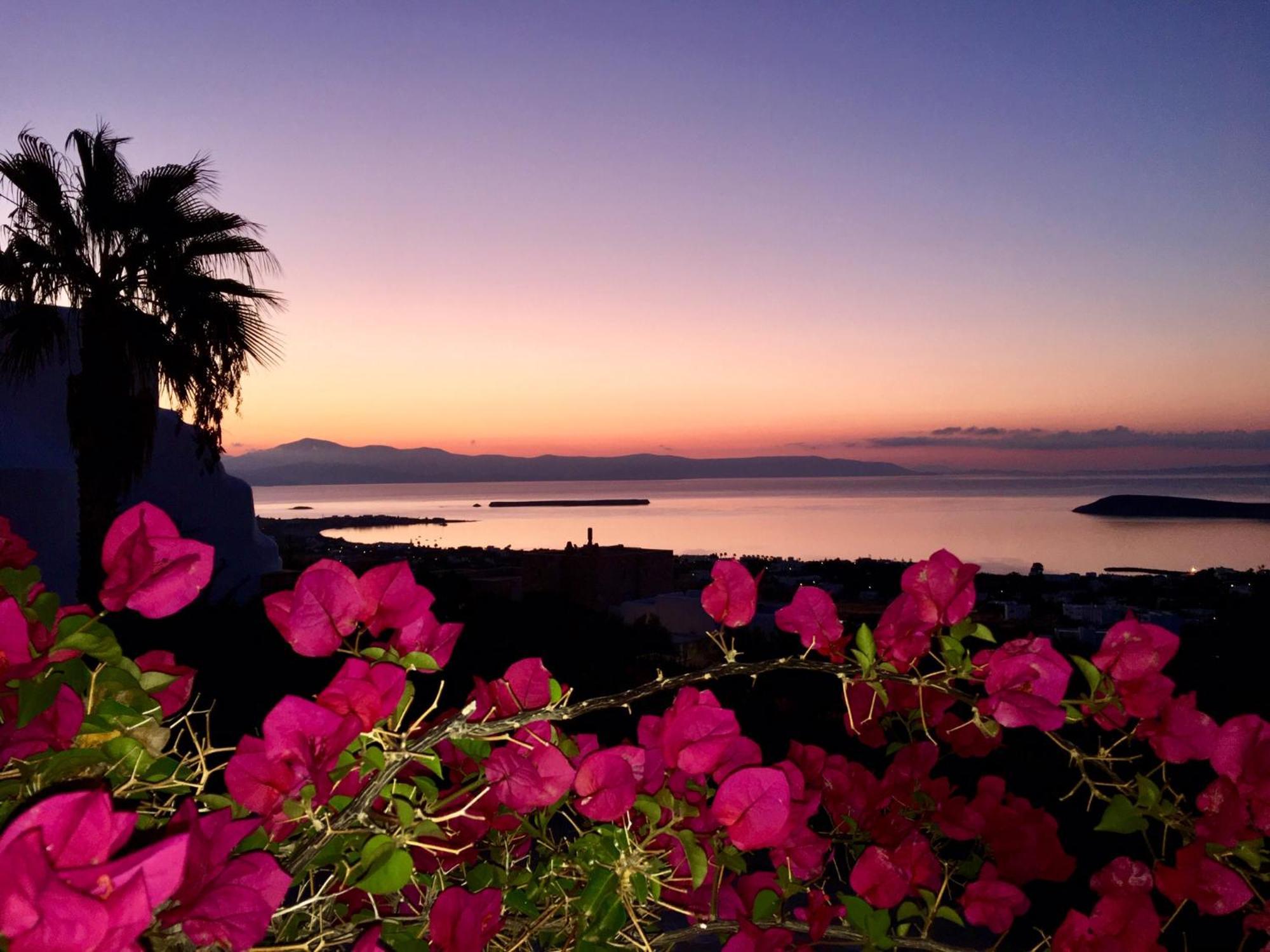 Villa Rossi Paros Luxury Apartments And Suites Drios Exterior foto